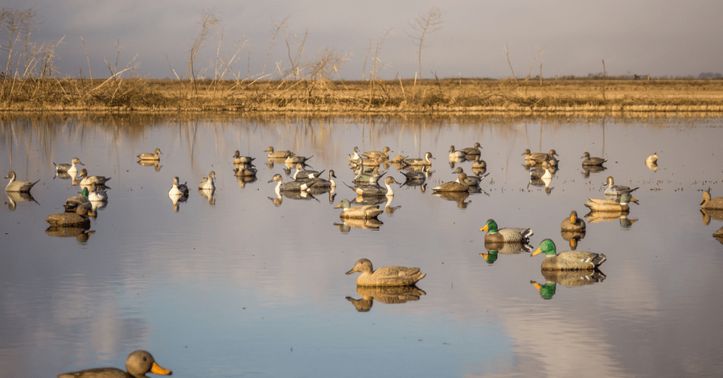 Best Books on Duck Hunting